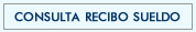Consulta Recibos de Sueldo de la DNLQ