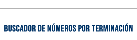 Buscador por Terminación
